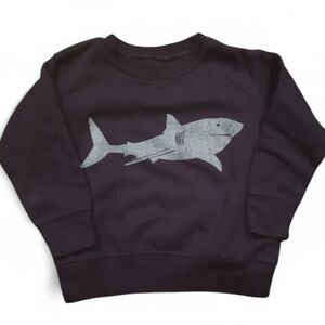 CINDER & SALT BOYS GIRLS NAVY BLUE SWEATSHIRT CREWNECK TOP SHIRT TOPS SIZE 2T